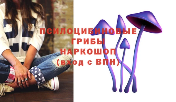 стафф Михайловск