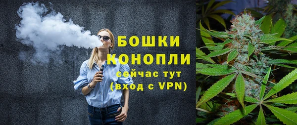 стафф Михайловск