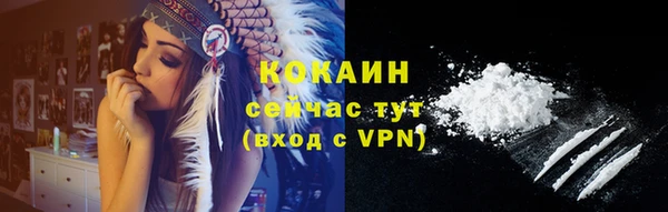 стафф Михайловск