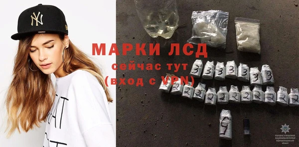 стафф Михайловск