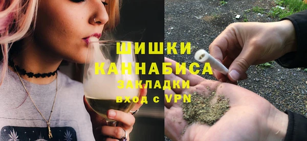 прущие грибы Саки