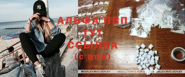 стафф Михайловск