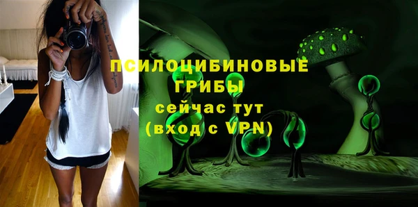 гашиш Михайлов
