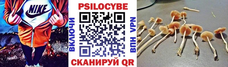 Галлюциногенные грибы Cubensis  mega ссылки  Хвалынск 