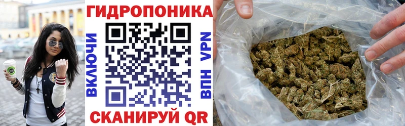 OMG маркетплейс  Хвалынск  Каннабис семена 